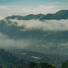 Holiday Home Kasauli by Exotic Stays