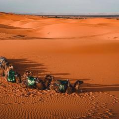 Hayati Desert Luxury Camp - Best Overnight Camp Merzouga