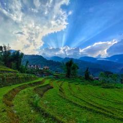 Drukinn gaireykhet homestay