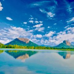 Zensigiri Ayurveda Wellness Homestay