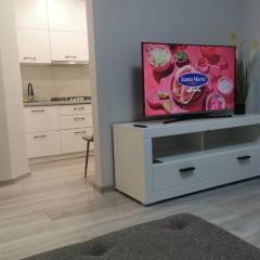 Buto nuoma Plungėje