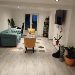 Nice apartment 1 hour from Paris and 45 minutes from Orléans