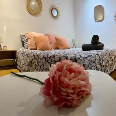 Joli T2 cosy à deux pas du RER E