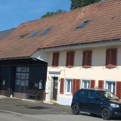 Alpenblick Ferienwohnung und Monteurzimmer