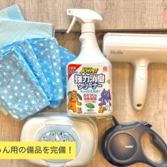 Casa Stella 10 by Liaison