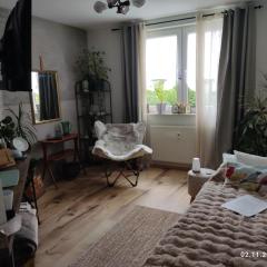 Einzelzimmer neu, von Privatperson , inkl Netflix