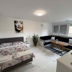 Stan na dan - zvijezda Danica Kozarska Dubica