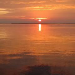 Hoga Island Dive Resort