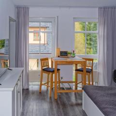 Gemütliches Apartment in Chemnitz Rabenstein