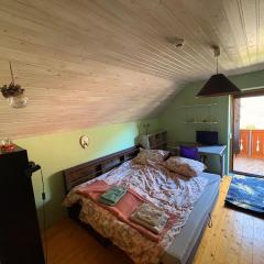 Capybara Guest House