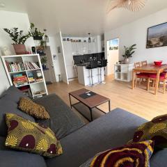 Appartement rue Hatt