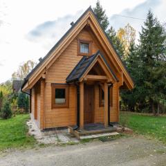 Elegancki domek w górach, jeden na dużej, szczelnie ogrodzonej działce, przyjmujemy psy, Łopuszna, blisko Nowego Targu i Białki Tatrzańskiej