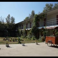 Золотий Якор