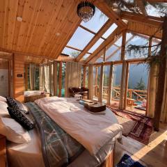 The Hikers Tree With Jacuzzi