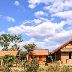 Charming Wooden House with Herbal Farm Vibes