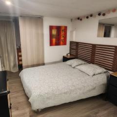 Studio Cerf, quartier marais, terrasse rez de chaussé, jardin accessible, matelas confortable