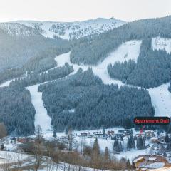 Maibrunn apartment Dali, ski-in&out