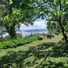 Dreamview studio apartment