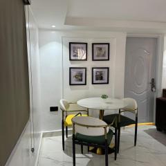 Asokoro Luxury Apartments