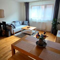 Apartmán pod Ďumbierom