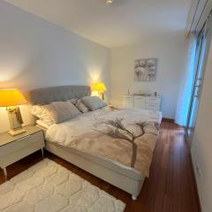 Luxueux appartement de 6 pièces en centre ville