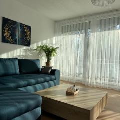 Le 9 - Basel Airport