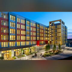 Modern& stylish vibe