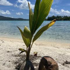 Motu ATAHIRI Camping