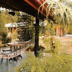 Birds of Paradise Surf and Yoga Boutique & Retreat