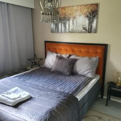 Luxury 1br apartment