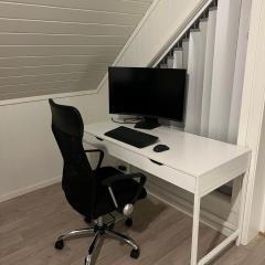 Lofoten - Spacious Room