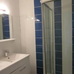 LIMOGES, joli appart !