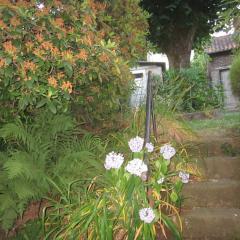 LIMOGES, joli appart !