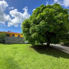 Villa F3 Les Bougainvilliers