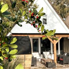 Escape to the beach and sea