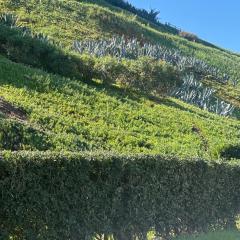 Widad appart centre-ville 5 min tgv