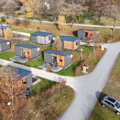 Side-by-Side Tiny Houses