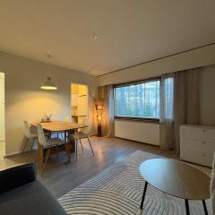 Arctic Aurora Apartment