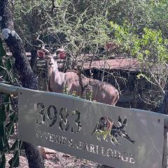 Reverie Safari Lodge, Marloth Park