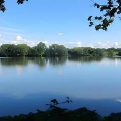 Au clos du pont, appartement zen