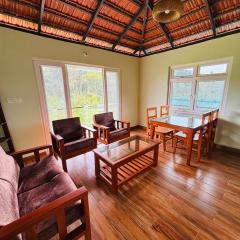 Estate stay near Dubare elephant camp, friendly for remote workers