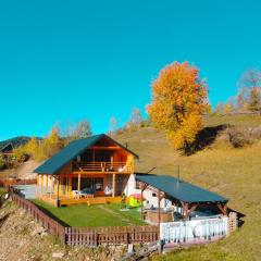 Cabana de sub mesteceni