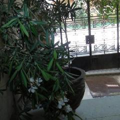 Muse& pyramids view inn