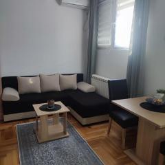 Altina Gottfried Studio