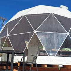 Domo en plena naturaleza