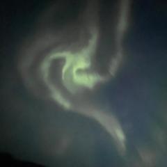 Moderne liten leilighet på toppen av Tromsøyen