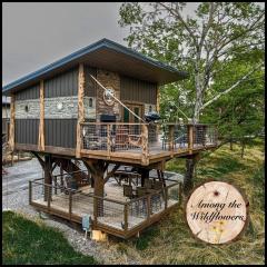 "Among the Wildflowers" Scenic Treehouse Getaway in Sevierville w 20ft Slide & 2 Private Decks
