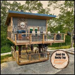"Good Ole Rocky Top" Unique Tennessee Treehouse Near Pigeon Forge - Private 20ft Slide