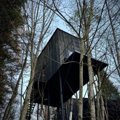 M Cabin Tree house Predeal Ciubar