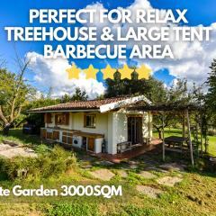 La Collina dei Ciliegi